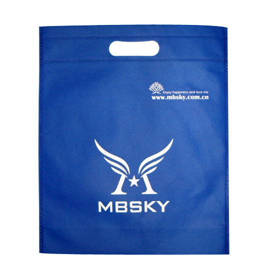 PP non woven wholesale reusable shopping bag